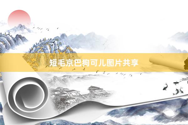 短毛京巴狗可儿图片共享