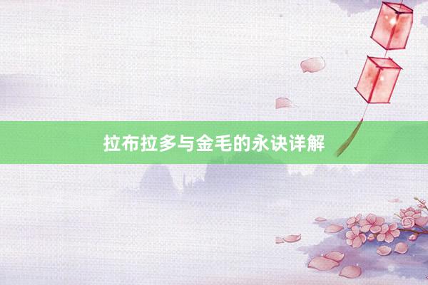 拉布拉多与金毛的永诀详解